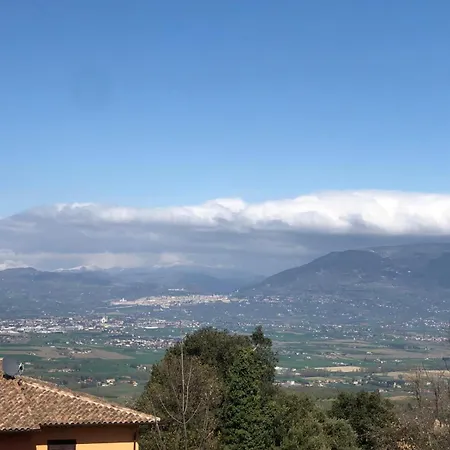 Cinque Cerri