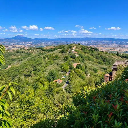 Cinque Cerri Collemancio